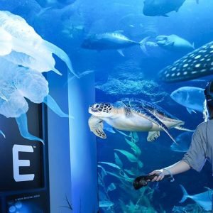 Best Dubai Mall Aquarium Package